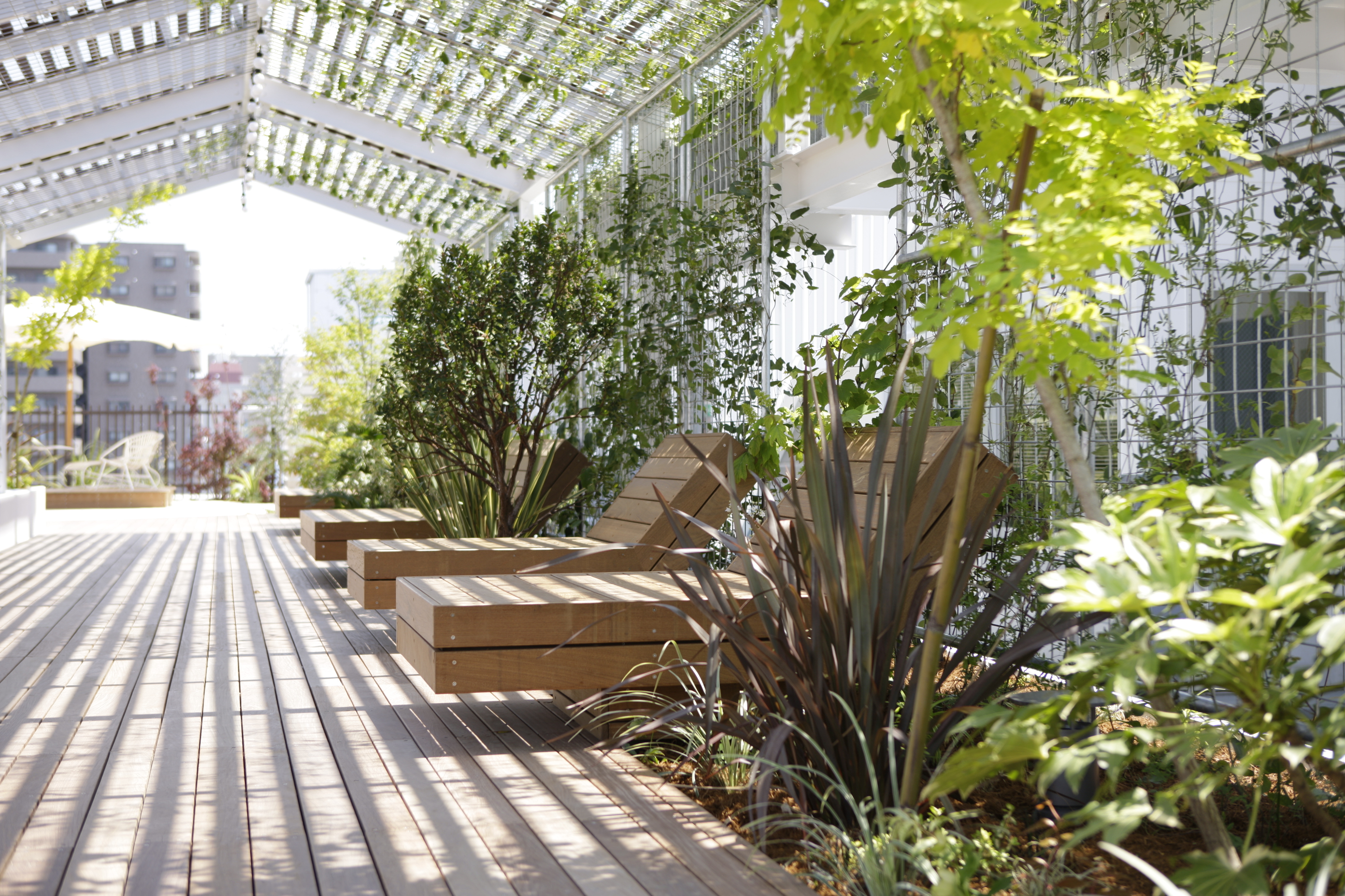 ラスカの杜 | FUA : フルヤデザインアソシエイツ